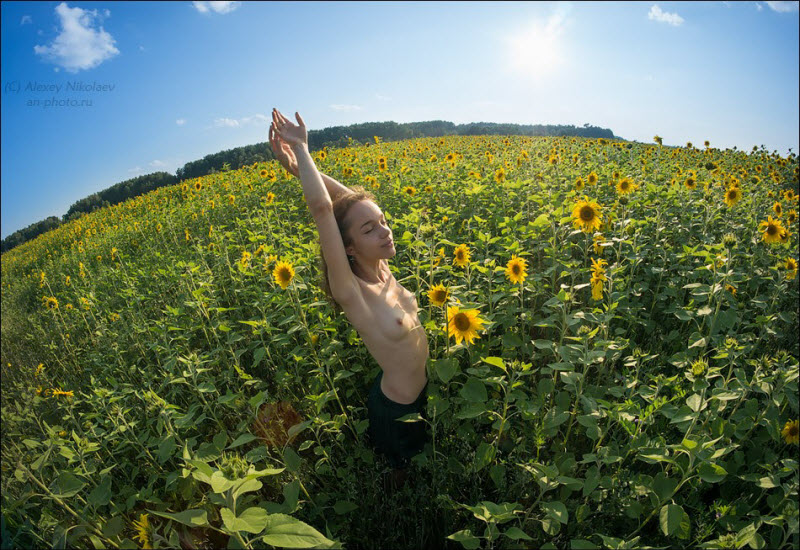 Красивое «Ню» Алексея Николаева