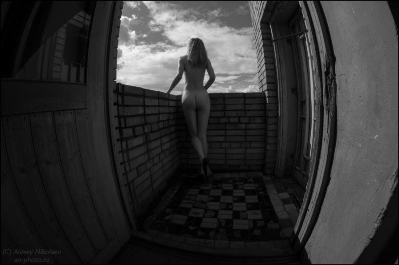 Красивое «Ню» Алексея Николаева