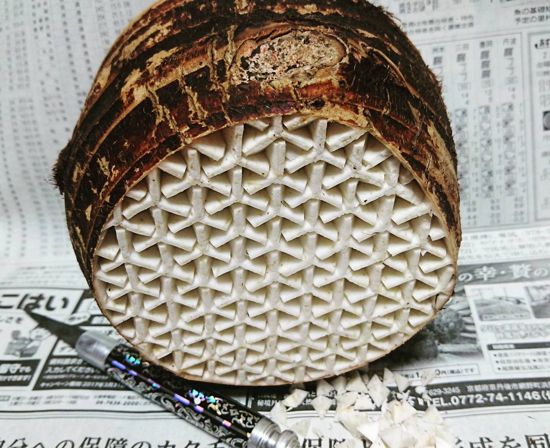 Удивительные узоры на овощах и фруктах