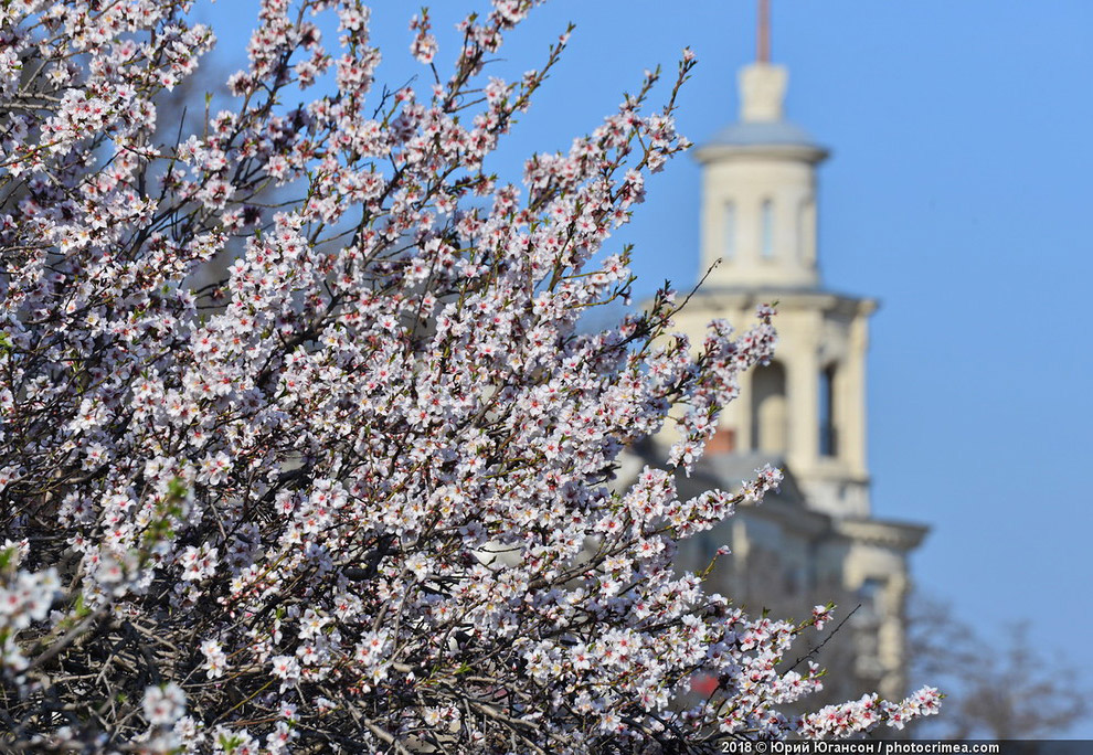 Весна в Крыму