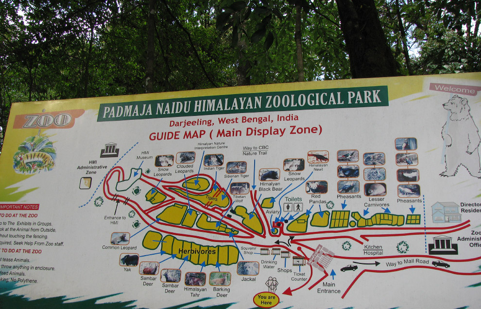 Самые необычные зоопарки