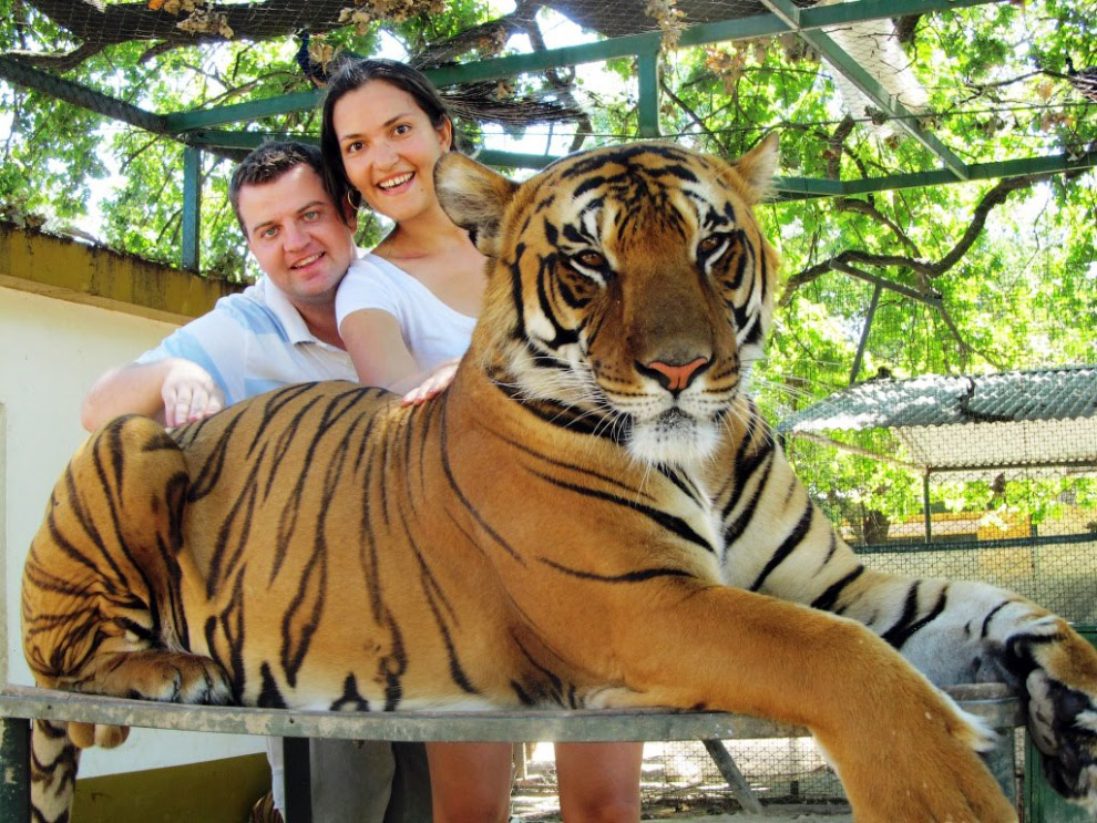 Самые необычные зоопарки