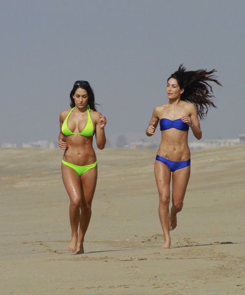 Красотки в бикини (65 фото)