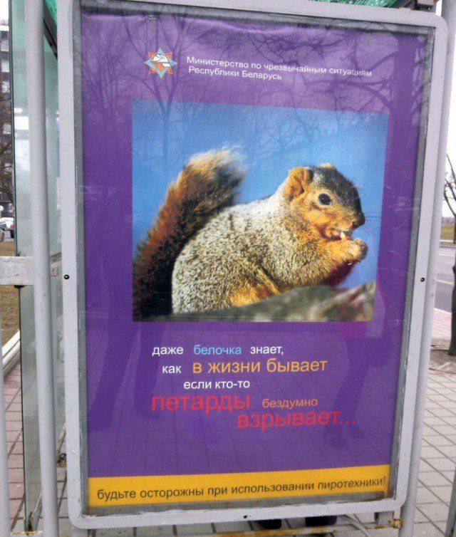 Беларусские маразмы (22 фото)