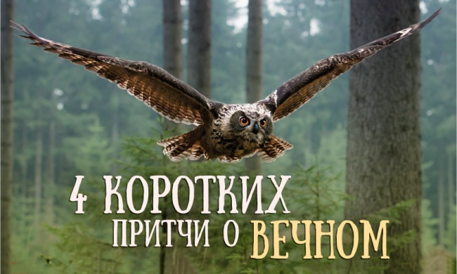 Краткой мудрости пост Краткой мудрости пост