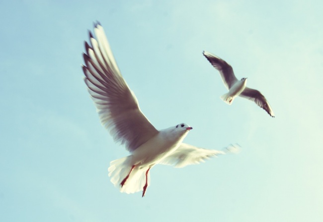 Краткой мудрости пост Краткой мудрости пост