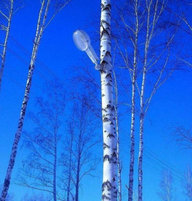 Смешные и странные фото с наших просторов