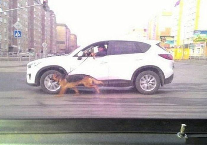 Смешные и странные фото с наших просторов