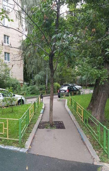 Смешные и странные фото с наших просторов