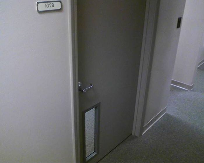 Не самые лучшие идеи