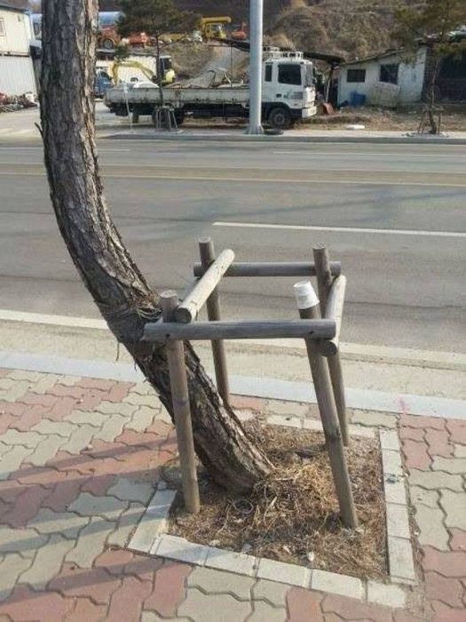 Не самые лучшие идеи