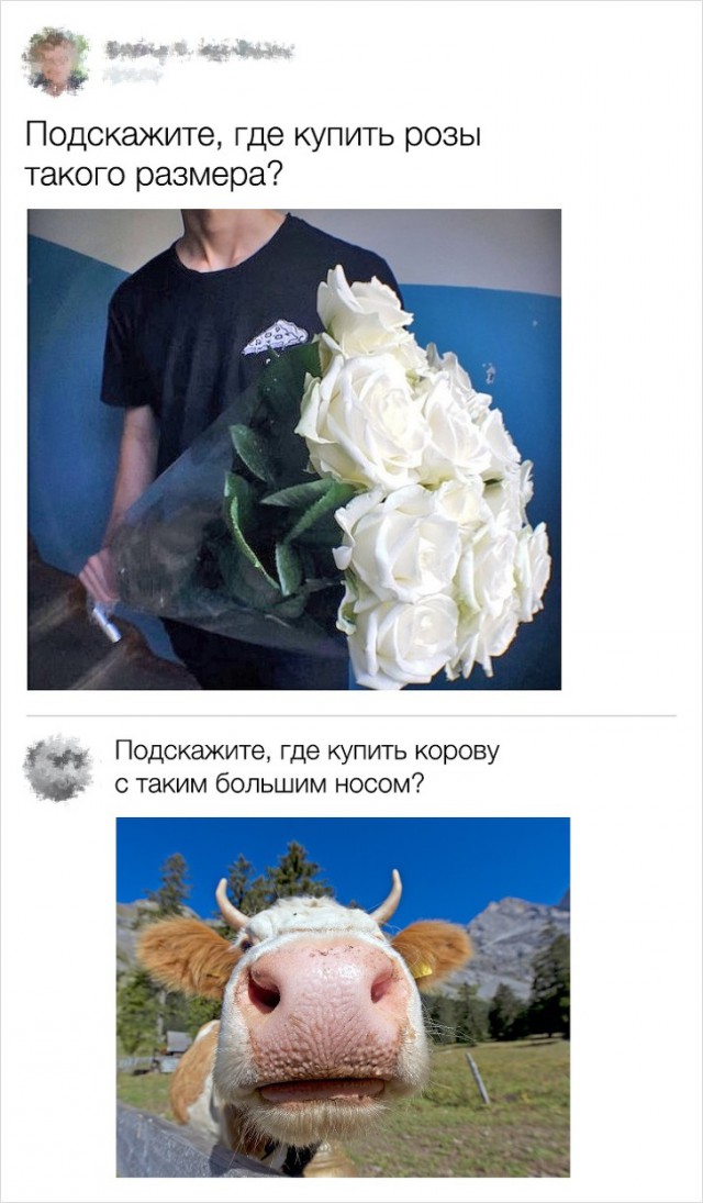 Юмор из социальных сетей