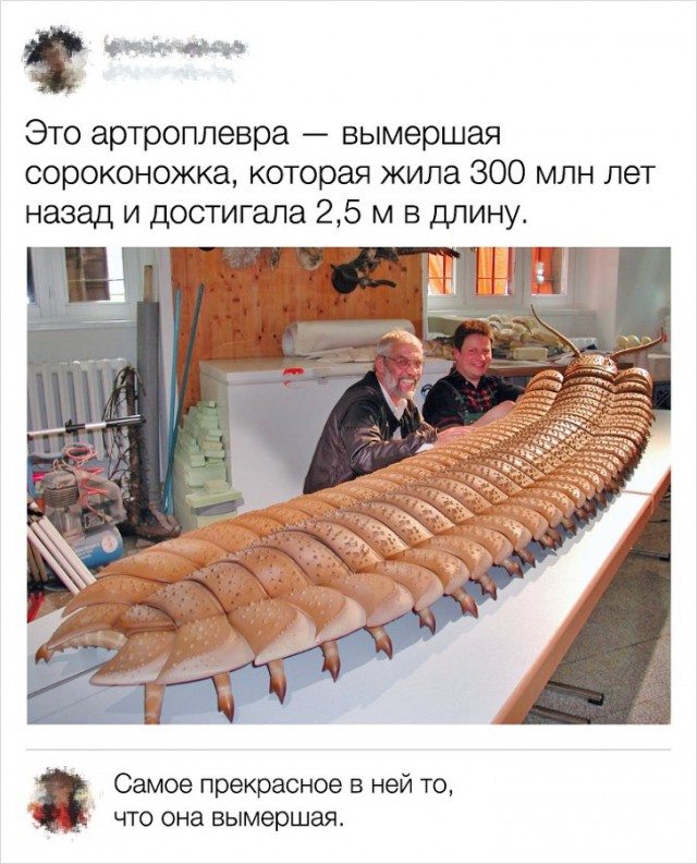 Юмор из социальных сетей