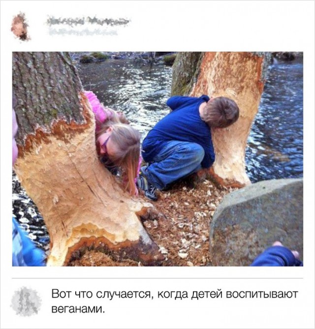 Юмор из социальных сетей