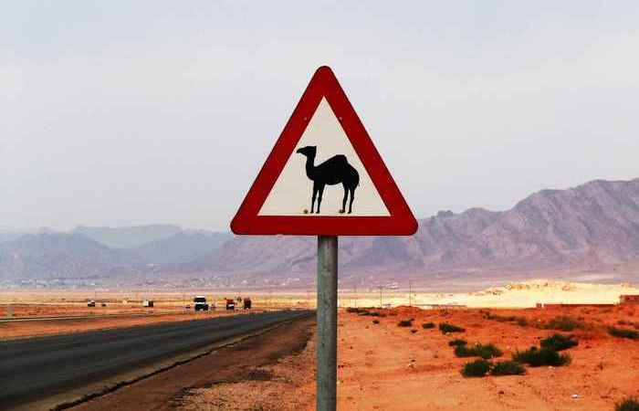 10 самых нелепых правил дорожного движения, за нарушение которых можно даже попасть в тюрьму