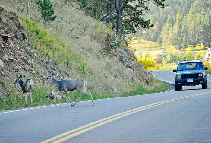 10 самых нелепых правил дорожного движения, за нарушение которых можно даже попасть в тюрьму