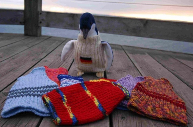 Разновидности пингвинов