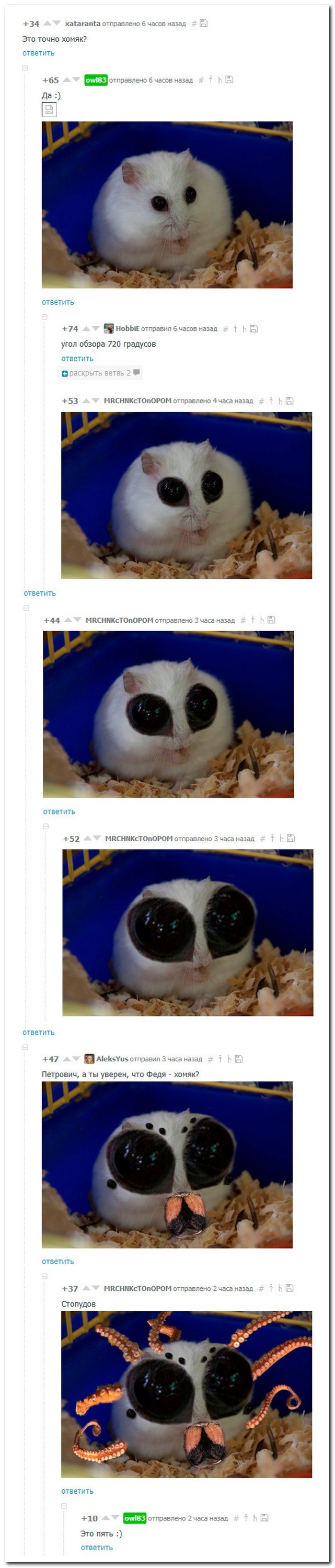 Смешные комментарии из социальных сетей