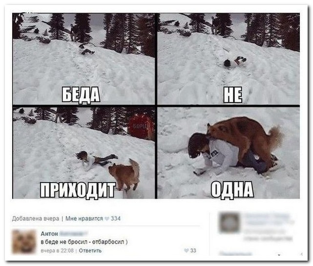 Смешные комментарии из социальных сетей