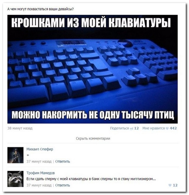 Смешные комментарии из социальных сетей