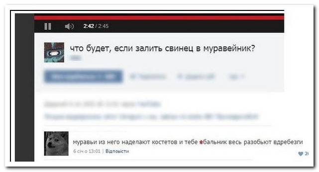 Смешные комментарии из социальных сетей