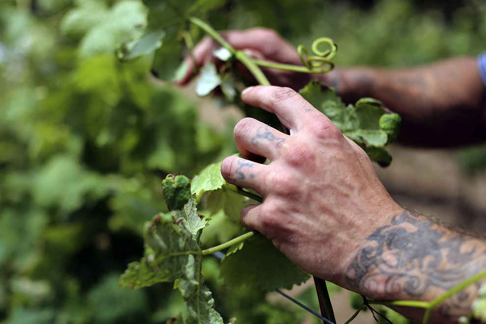 Самые известные острова-тюрьмы