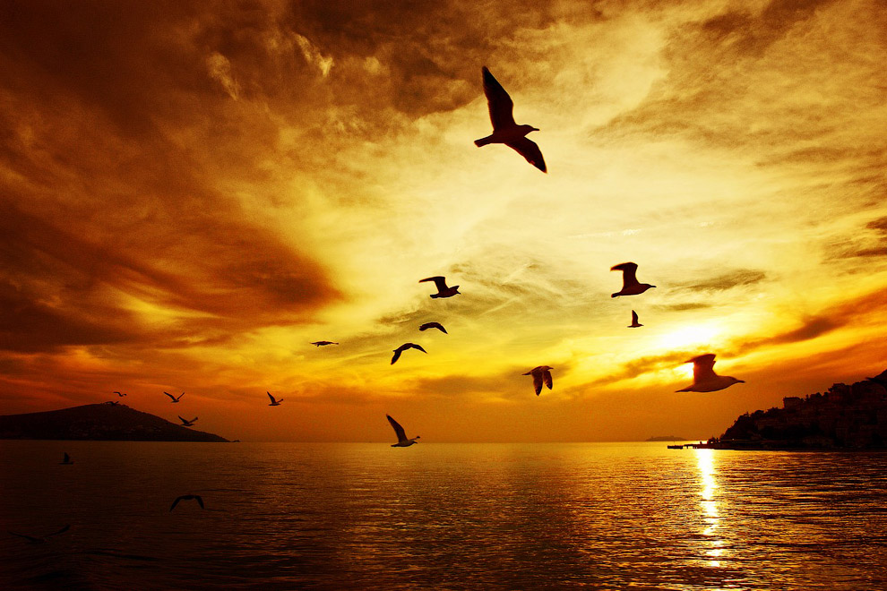 Самые известные острова-тюрьмы