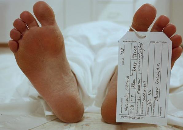 Самые странные сайты знакомств