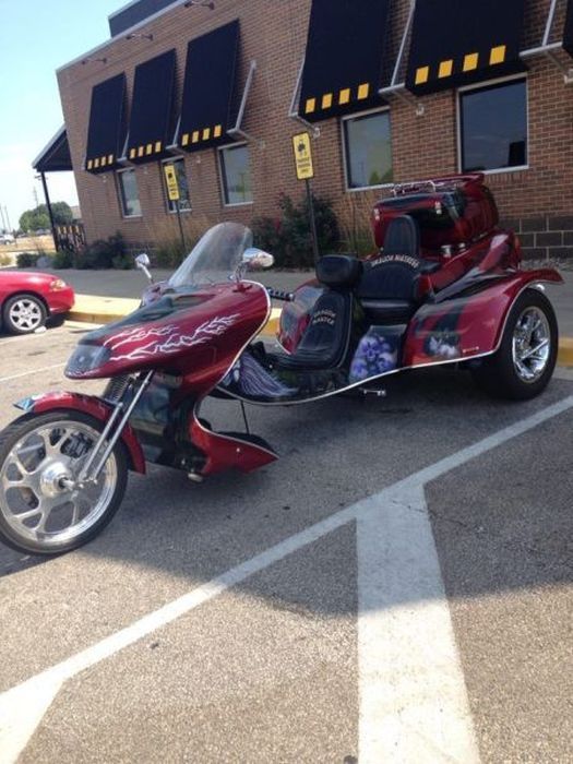 Прикольные картинки