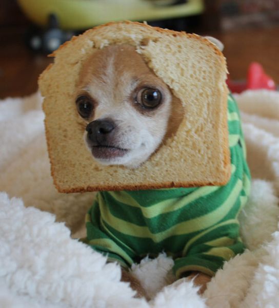 Прикольные картинки