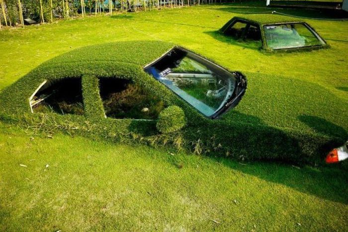 Прикольные картинки