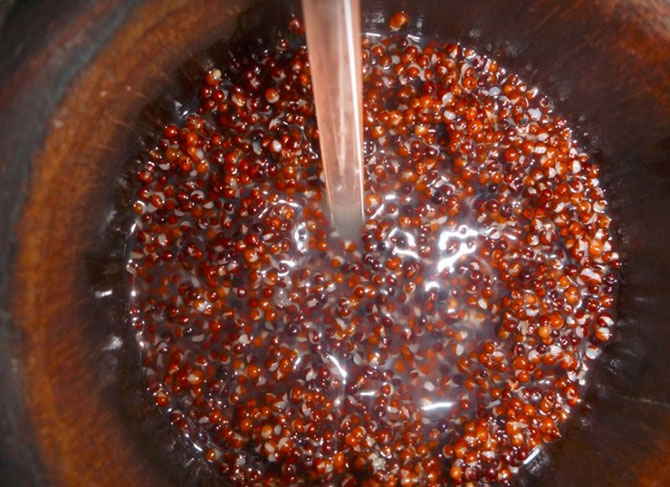 Самые странные алкогольные напитки в мире