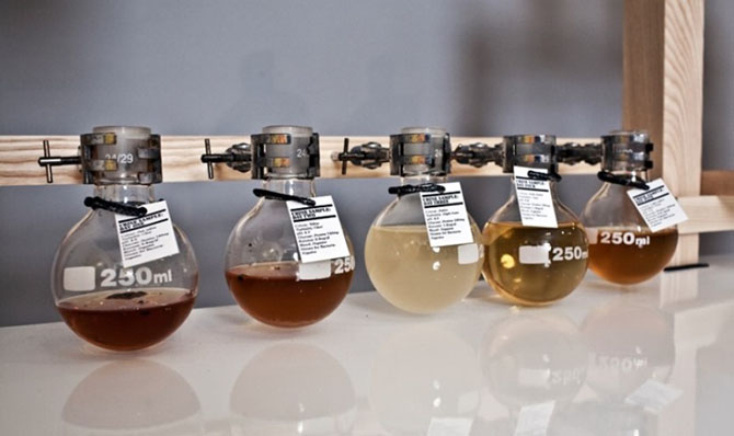 Самые странные алкогольные напитки в мире