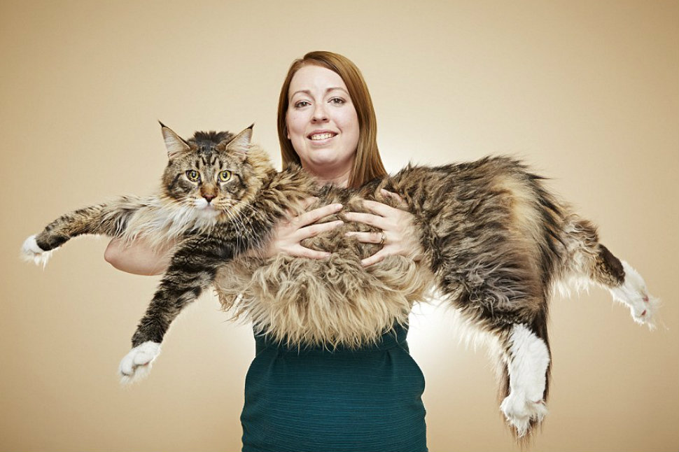 Вы не поверите: новые достижения, попавшие в Книгу рекордов Гиннесса Вы не поверите: новые достижения, попавшие в Книгу рекордов Гиннесса