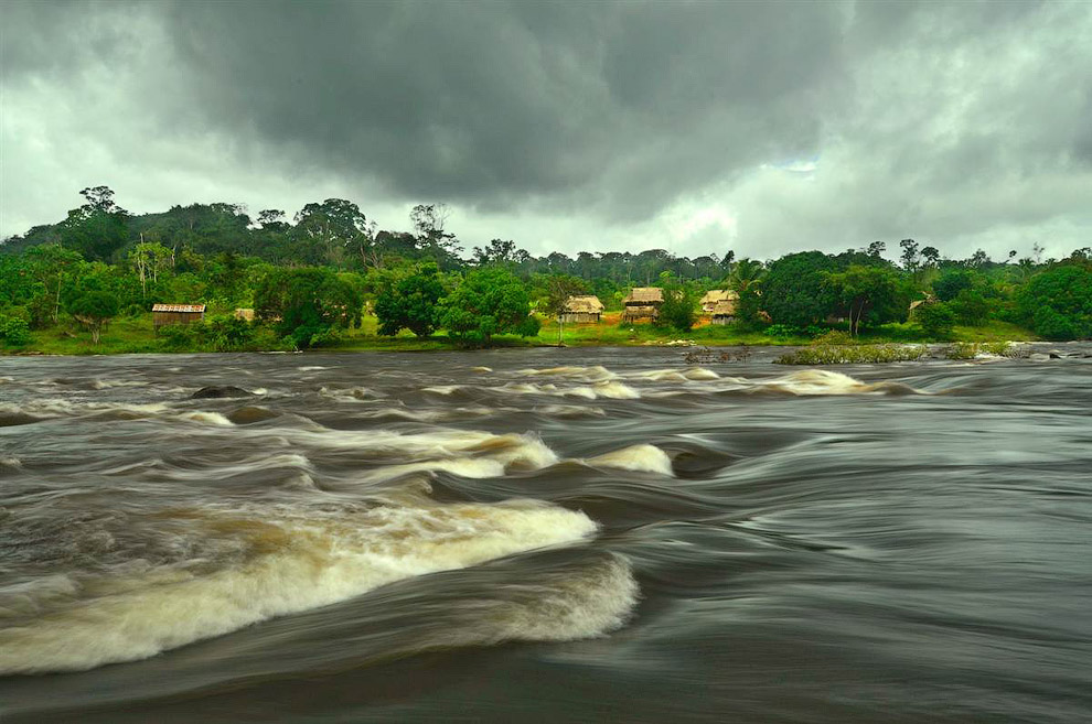 Редкие растения и существа Южной Америки