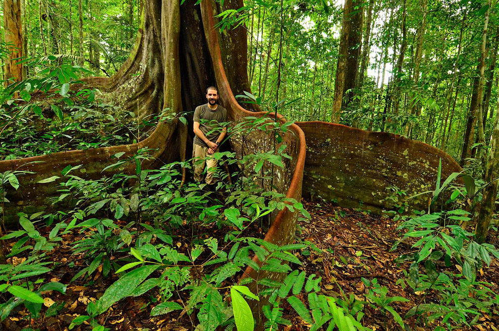 Редкие растения и существа Южной Америки