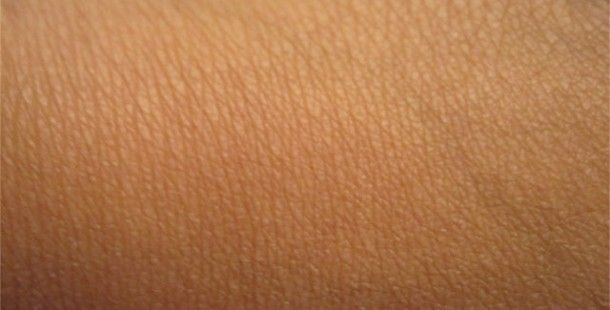 Удивительные факты Удивительные факты