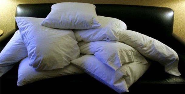 Удивительные факты Удивительные факты