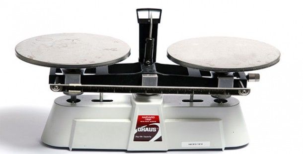 Удивительные факты Удивительные факты