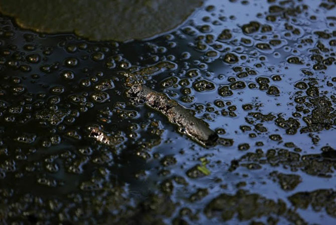 Экскурсия по Музею нефти во Франции (13 фото)