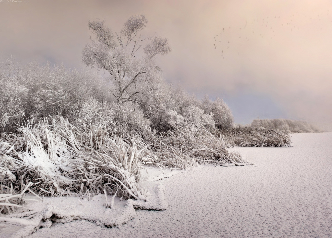 Фотограф Даниил Коржонов (20 фото)