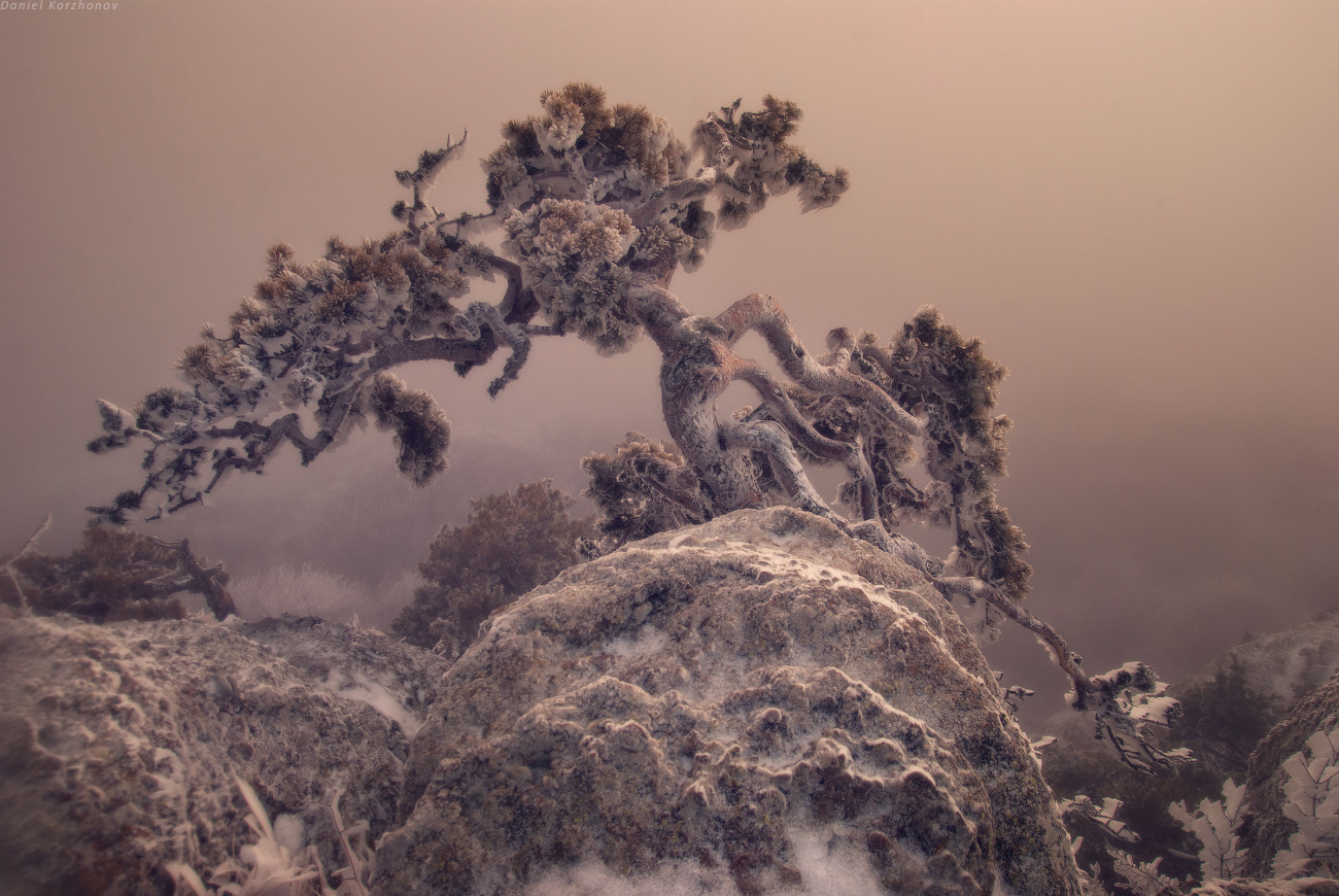 Фотограф Даниил Коржонов (20 фото)