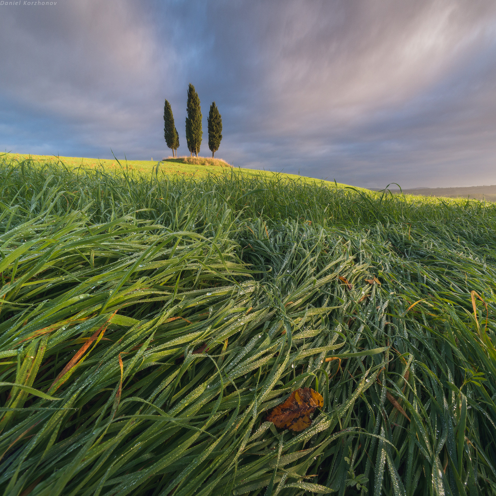 Фотограф Даниил Коржонов (20 фото)