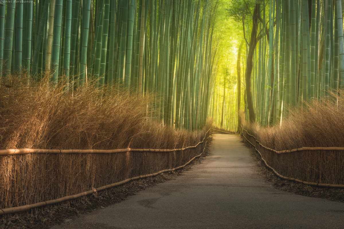 Фотограф Даниил Коржонов (20 фото)