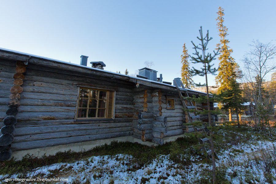 В поисках Санта Клауса у северных оленей и сибирских хаски.