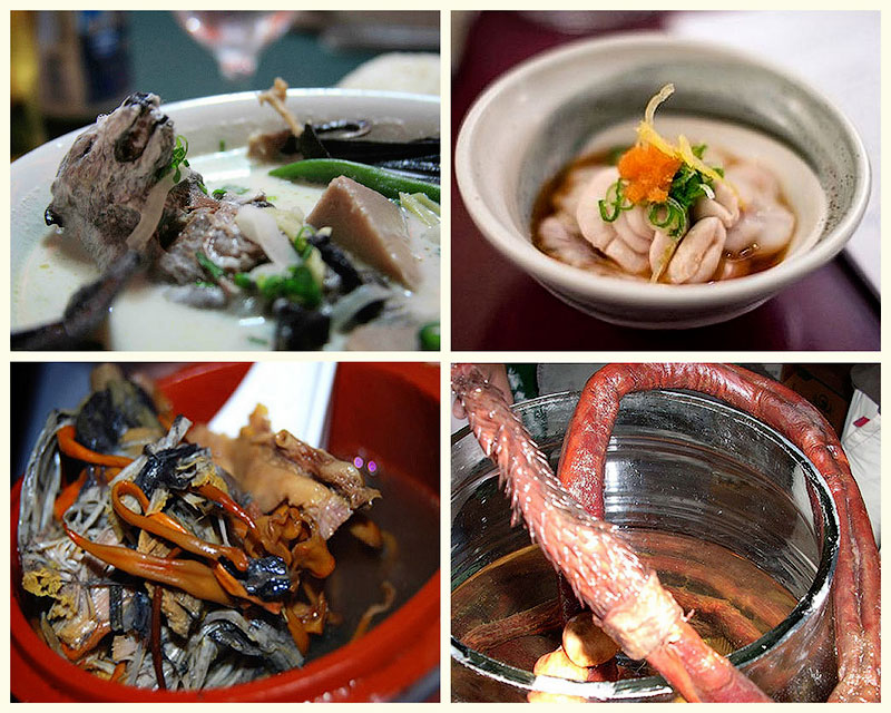 Самые странные супы в мире