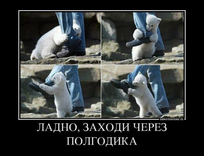 Демотиваторы