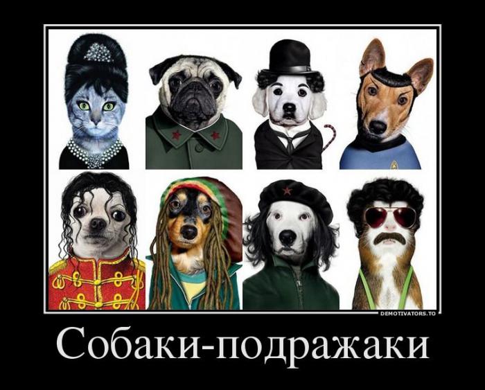 Демотиваторы