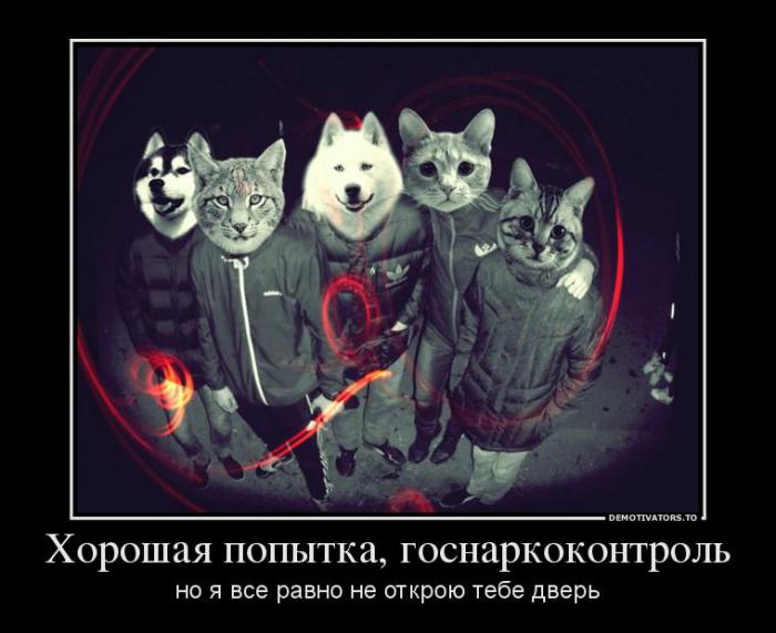 Демотиваторы