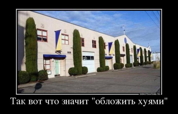 Демотиваторы